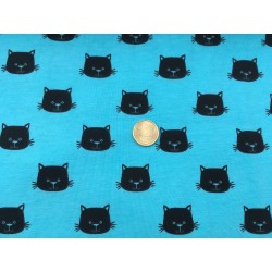 Cats heads on blue
