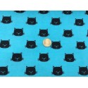Têtes de chats sur bleu Têtes de chats sur bleu