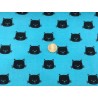Cats heads on blue