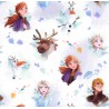 Reine des neiges portraits