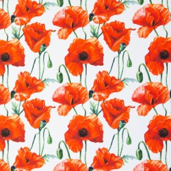 Canvas Poppies