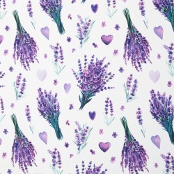 Canvas Lavender