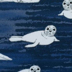 Seals Arctic Animals by...