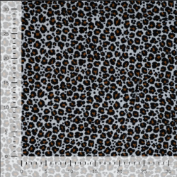 Double gaze leopard