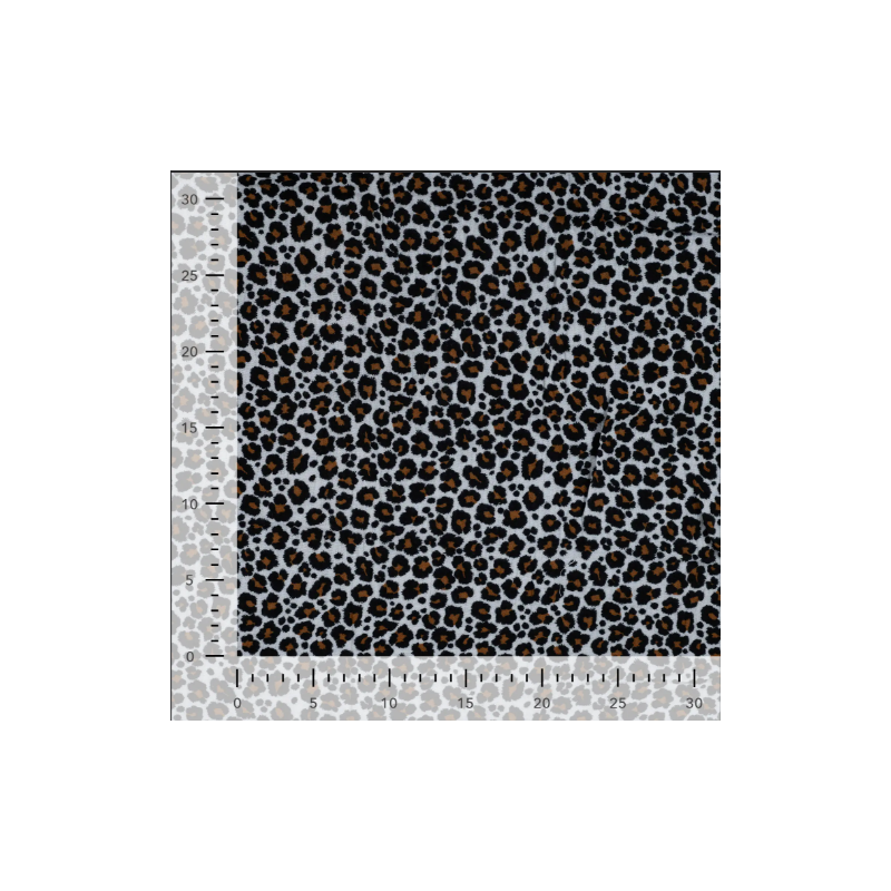 Double gaze leopard