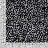 Double gaze leopard