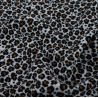 Double gaze leopard