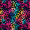 Summersweat leo multicolored