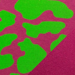 Sweat leo fuchsia/ lime
