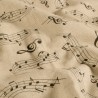 Notes de musique