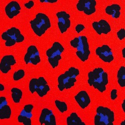 Abby Leo red blue canvas