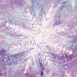 Fleurs de givre by Christiane Zielinski Sweat modal